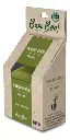 aloe 5.webp