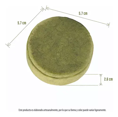 aloe 2.webp