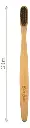 cepillo adulto 3.webp